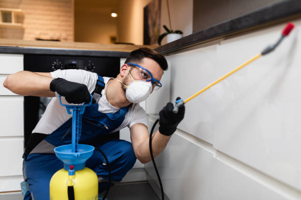 Best Wasp Removal Services  in Colfax, CA