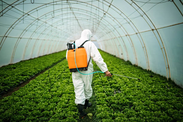 Best Local Pest Control Services  in Colfax, CA