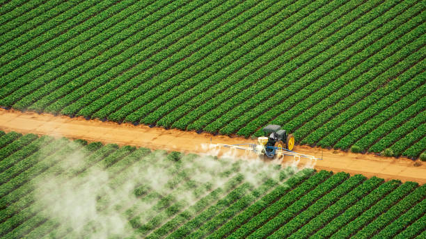 Best Ant Control Services  in Colfax, CA