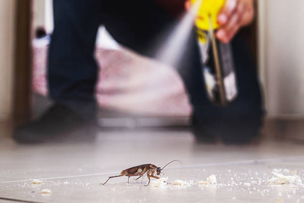 Best Exterminator Services  in Colfax, CA