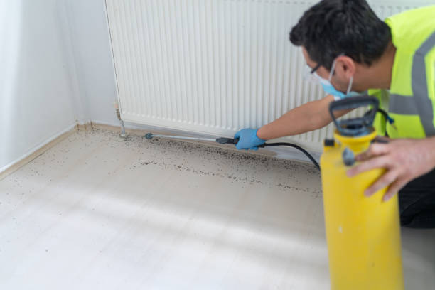 Reliable Colfax, CA Pest Control Solutions